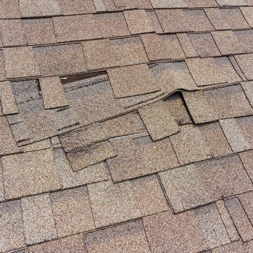 close-up of damaged shingles in need of repair