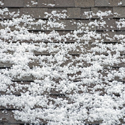 hail covering a shingle roof